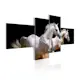 Tavla Arkiio Animal World White Horses Galloping