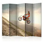 Rumsavdelare Skärmvägg Arkiio Motor Sport II 225x172 cm