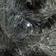 Ljusslinga Gnosjö Konstsmide Micro-LED Utomhus
