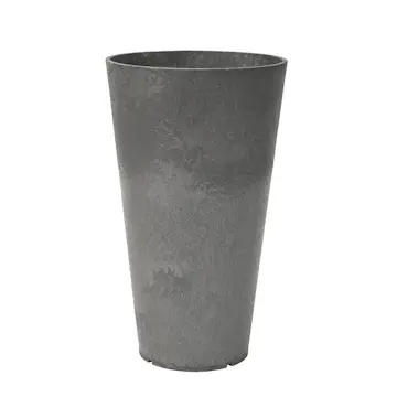 Blomkruka Recal Concerto