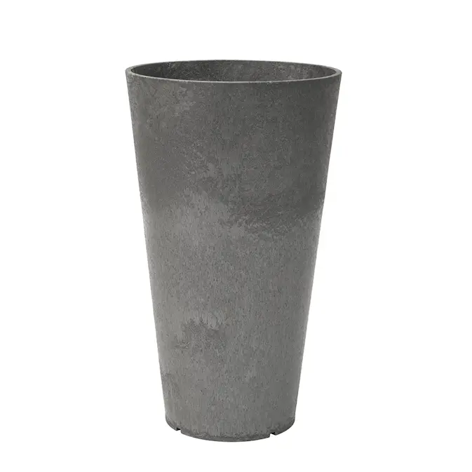 Blomkruka Recal Concerto