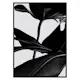 Poster Gallerix Ficus Black