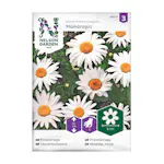 Frö Prästkrage Nelson Garden Maikönigin Vit