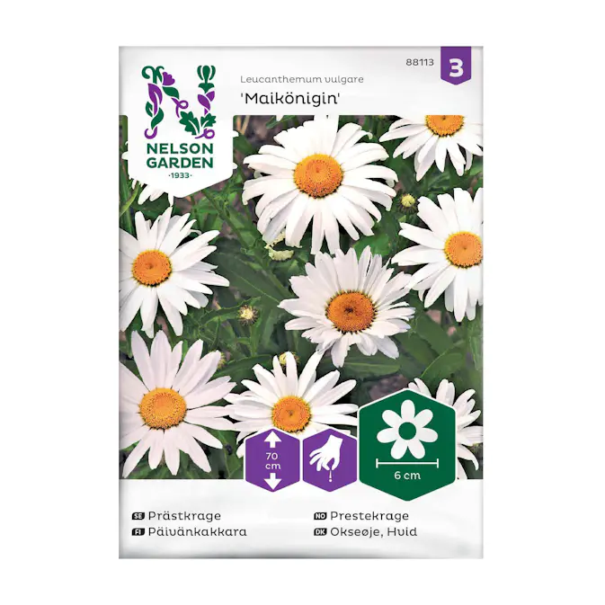 Frö Prästkrage Nelson Garden Maikönigin Vit
