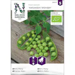 Frö Märgärt Nelson Garden Kelwedon Wonder Ekologisk