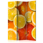 Rumsavdelare Skärmvägg Arkiio Citrus Fruits 135x172 cm