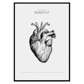 Poster Gallerix Hjärtat