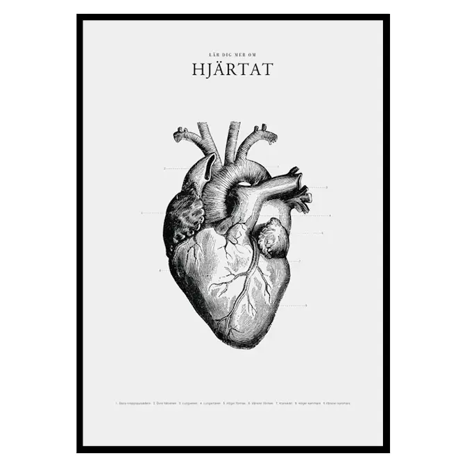 Poster Gallerix Hjärtat