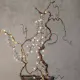 Ljusslinga Star Trading Shiny Warm White Utomhus 5,5 meter 80 LED-lampor