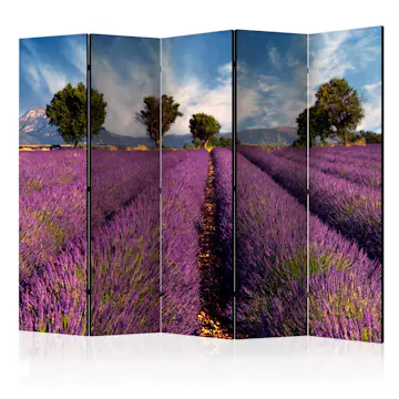 Rumsavdelare Skärmvägg Arkiio Lavender Field in Provence France II 225x172 cm