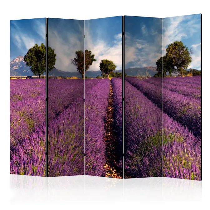 Rumsavdelare Skärmvägg Arkiio Lavender Field in Provence France II 225x172 cm