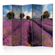 Rumsavdelare Skärmvägg Arkiio Lavender Field in Provence France II 225x172 cm