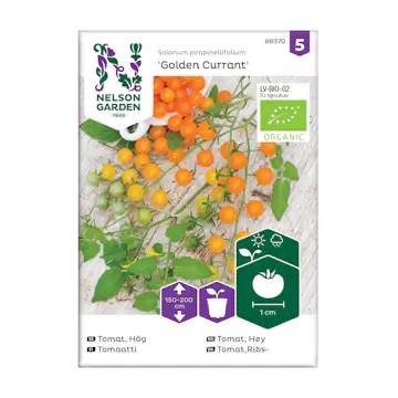 Frö Tomat Nelson Garden Golden Currant Organic Hög