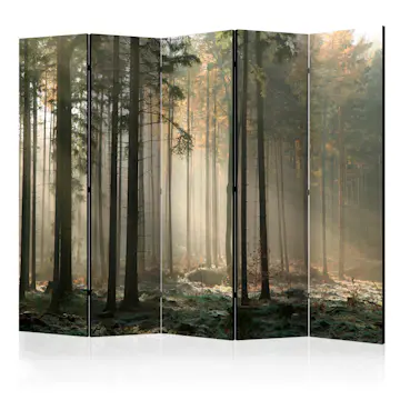 Rumsavdelare Skärmvägg Arkiio Foggy November Morning II 225x172 cm