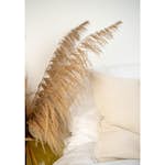 Posters Venture Home Bohemian Beige