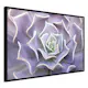 Poster Artgeist Affisch Purple Succulent