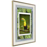 Poster Artgeist Affisch Toucan