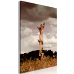 Tavla Arkiio Memory of Heaven