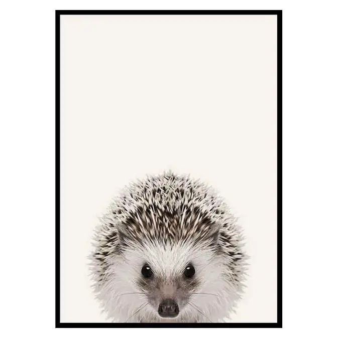 Poster Gallerix Baby Hedgehog