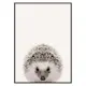 Poster Gallerix Baby Hedgehog