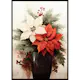 Poster Gallerix Poinsettia Flowers
