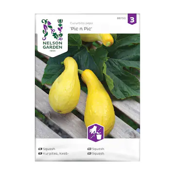 Frö Squash Nelson Garden Pic n Pic Gul