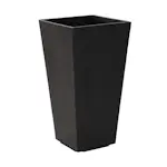 Blomkruka Recal Sonata