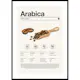Poster Gallerix Arabica Coffee Beans