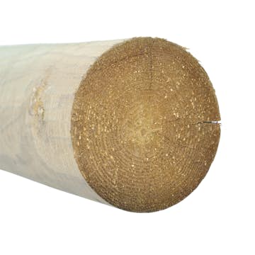 Bom Fyrås Trä 95x3000 mm 55 st Oimpregnerad