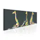 Tavla Arkiio Colourful Giraffes