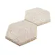 Takpanel Fibrotech Hexagon Box 18 st/frp