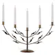 Adventsljusstake Star Trading Grace 5 Ljus