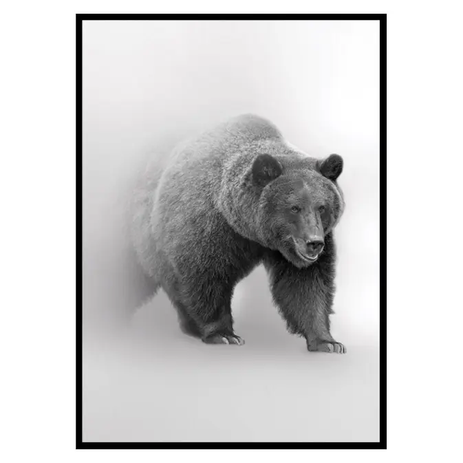 Poster Gallerix Faded Bear
