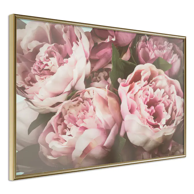 Poster Artgeist Affisch Pink Peonies