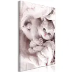 Tavla Arkiio Lover of Rest