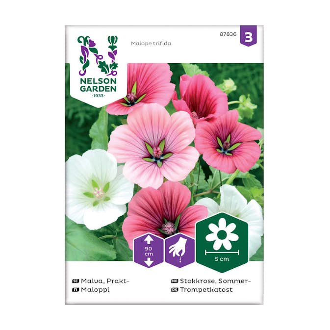 Frö Praktmalva Nelson Garden Mix