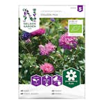 Frö Aster Nelson Garden Dubbel Mix Eko