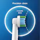 Borsthuvud Oral-B Precision Clean 10 st