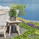 Sidobord Hillerstorp Wellington