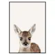 Poster Gallerix Baby Deer