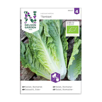 Frö Romersk Sallat Nelson Garden Tantan Organic