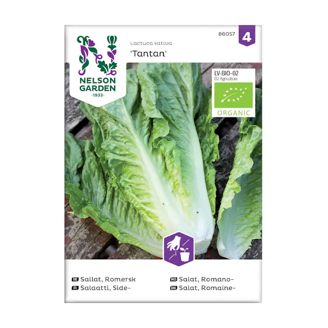 Frö Romersk Sallat Nelson Garden Tantan Organic