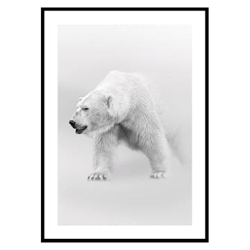 Poster Gallerix Faded Polar Bear