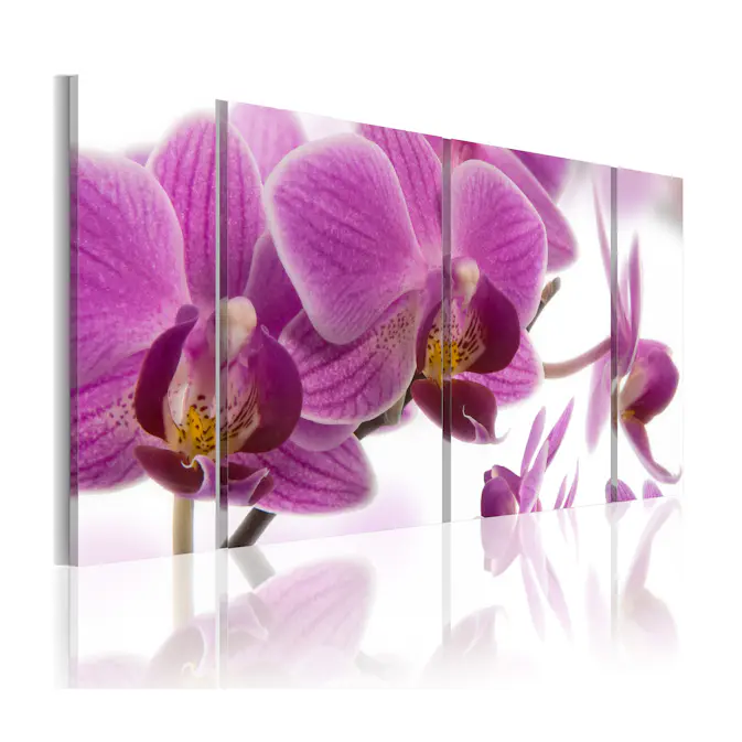 Tavla Arkiio Marvelous Orchid