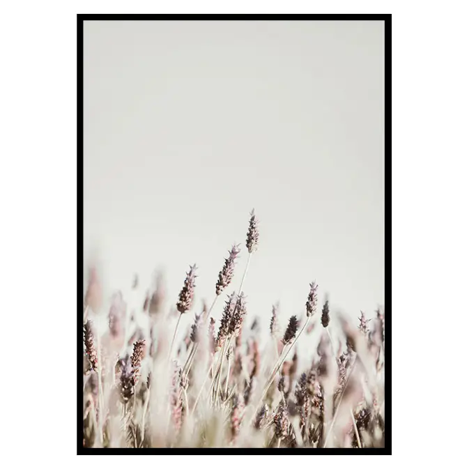Poster Gallerix Dried Plants No2