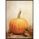 Poster Gallerix Autumn Pumpkins No1