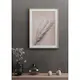 Poster Gallerix Pampas Grass