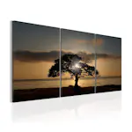 Tavla Arkiio Extraordinary Nature 120x60