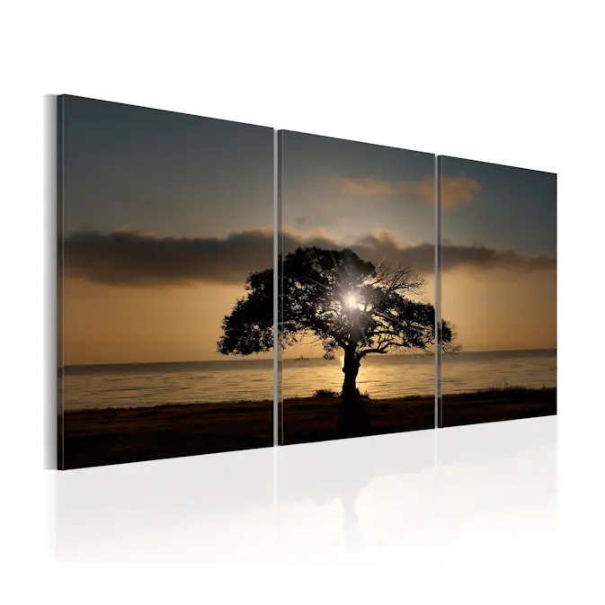 Tavla Arkiio Extraordinary Nature 120x60