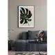 Poster Gallerix Monstera Two